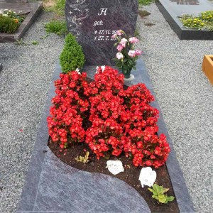 Einzelgräber von Petry Steinmetzbetrieb